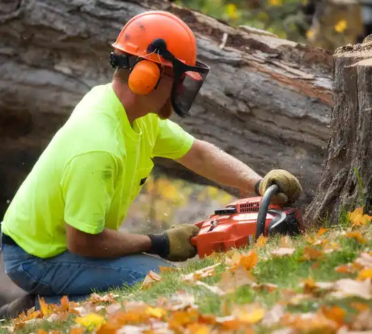 tree services West Milton